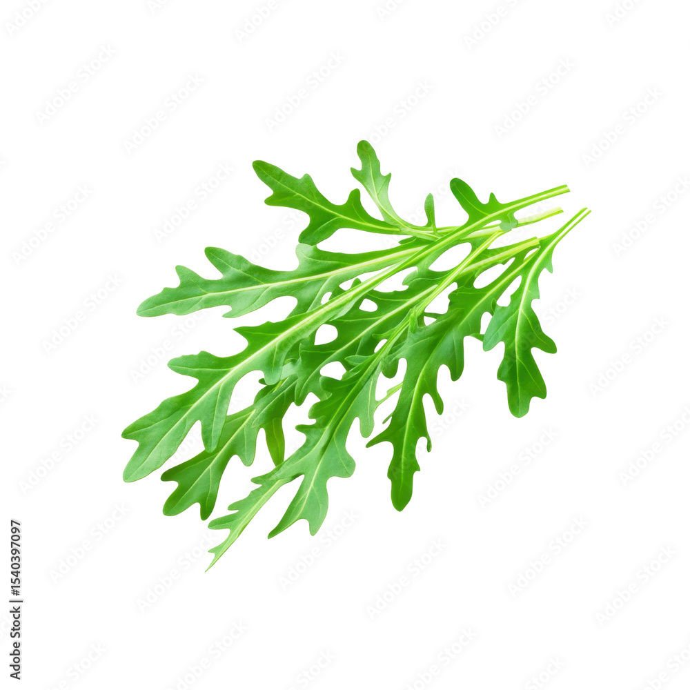 Fresh Green Rucola (Arugula) Leaves Isolated on Black Background Fresh Green Rucola (Arugula) Leaves Isolated on Black Background