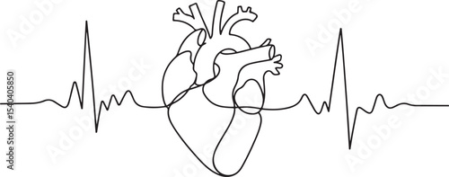 Continuous line drawing of human heart with EKG waveform in minimalist medical diagram style on white background

