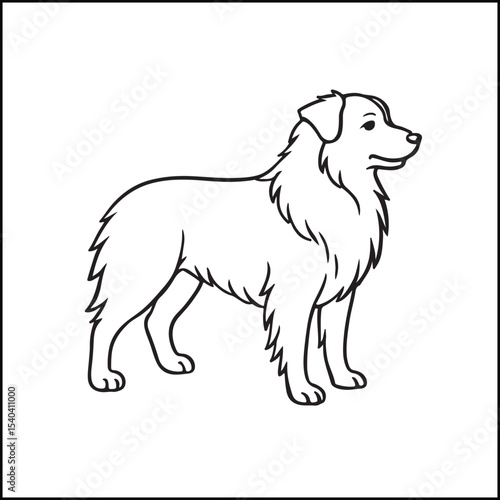 Australian Shepherd dog line art