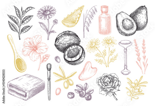 Skincare design elements. Hand drawn skin care, organic cosmetics, natural ingredients vector illustration. Beauty salon icons set. Not AI generated