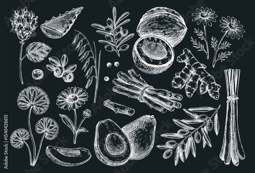 Organic cosmetic ingredients hand drawn vector illustrations. Natural skin care design elements. Skincare sketches set. NOT AI generated