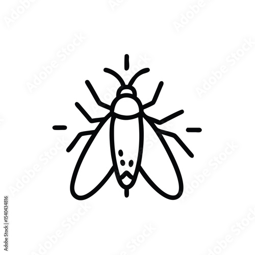 Hand drawn line art insect fly bug pest vector illustration