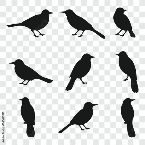 Flat and Minimal crow icon vector illustration isolated on white background an bart icon