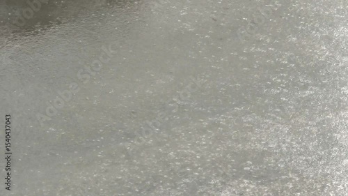 A big puddle from the rain, a typhoon is starting, the wind has brought a cyclone. The weather is rainy, raindrops on the water.