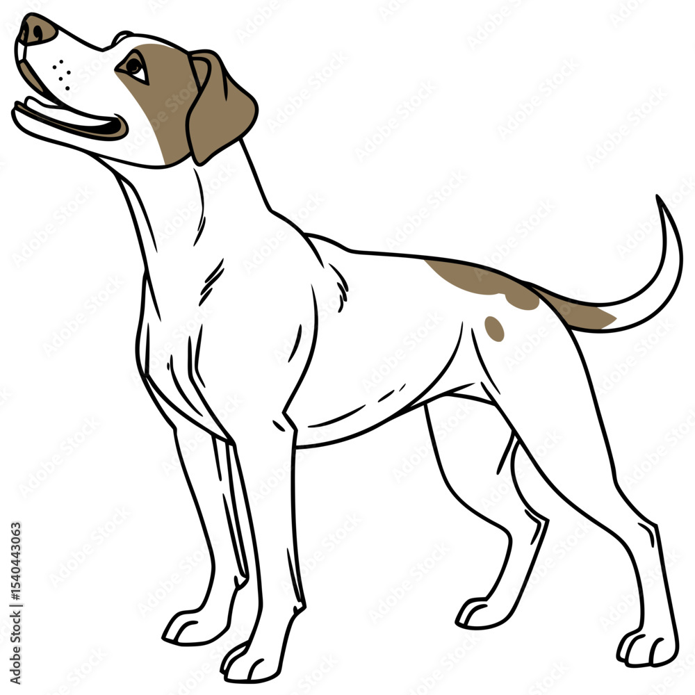 Fototapeta premium vector illustration of a dog