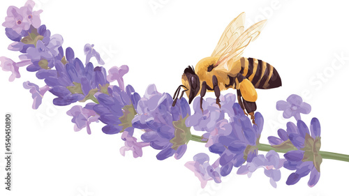A detailed close-up illustration depicts a honeybee actively pollinating a sprig of lavender. The bee is centrally positioned, sharply in focus, showcasing intricate details of its body, wings,