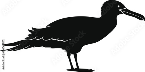 albatross bird silhouette illustration