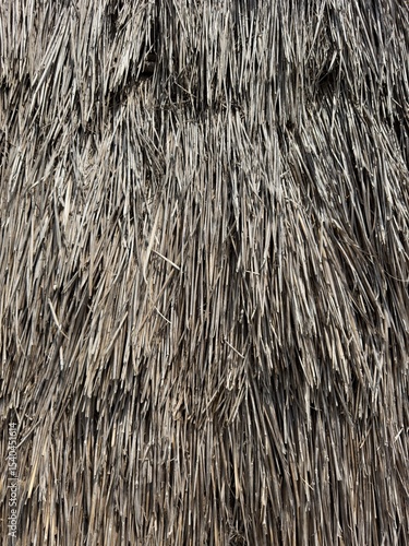 Fototapet Close-up shot of thatched roof. Background