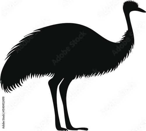 Emu Bird silhouette illustration