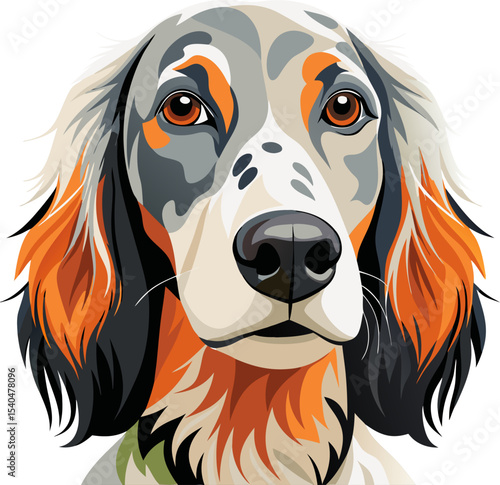 English Setter vector
