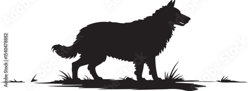 silhouette of loyal farm dog standing in grassy land symbolizing protection alertness and working animal guardian