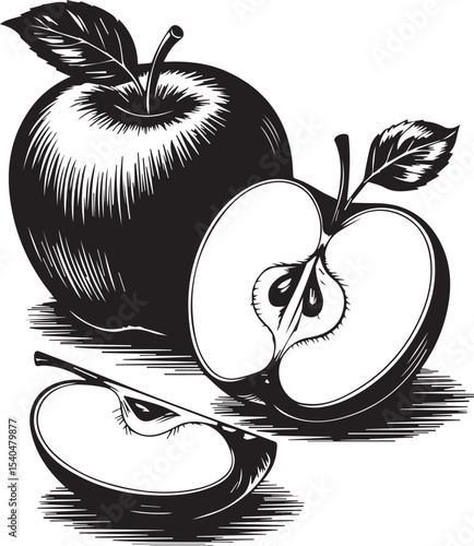 Elegant black and white apple illustration featuring whole apple and sliced portions