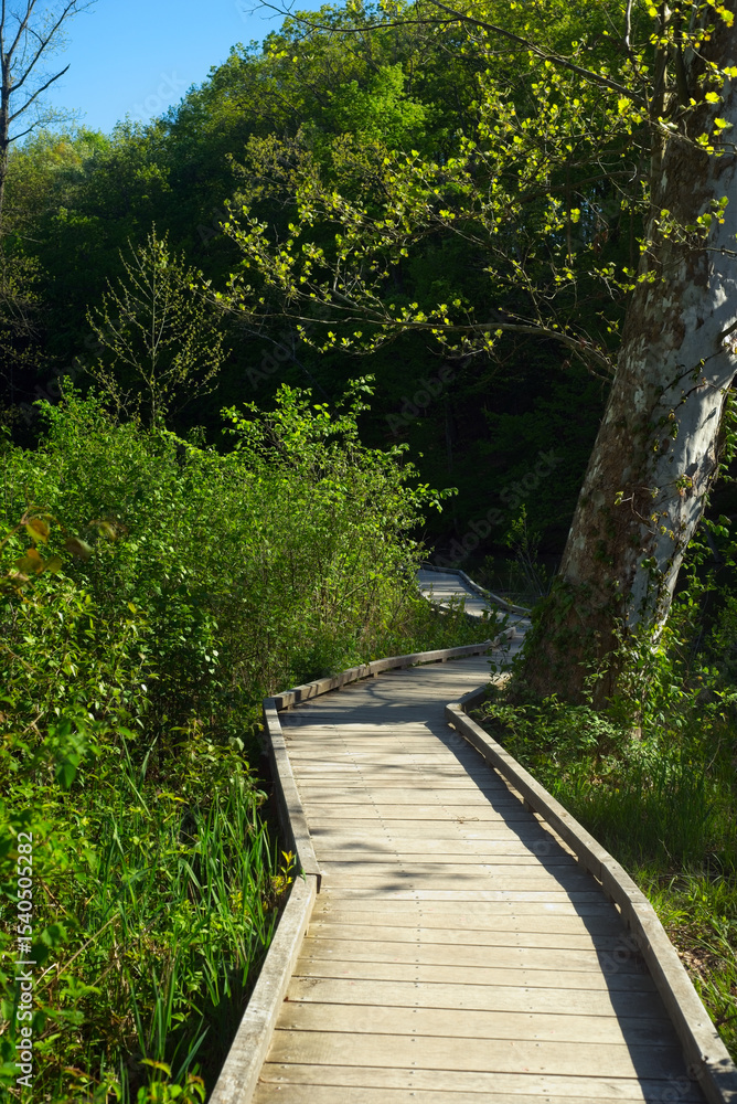 Obraz premium A boardwalk section of the Lagoon Trail in Rocky River Reservation near Cleveland, Ohio, traverses wetland areas in early spring.