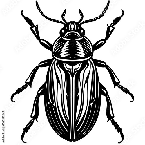 colorado potato beetle