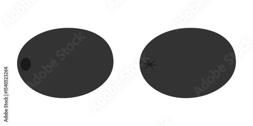 Hand Drawn Black Olive fruits Front and Back view Sticker Icon Logo Minimalist design elements Set