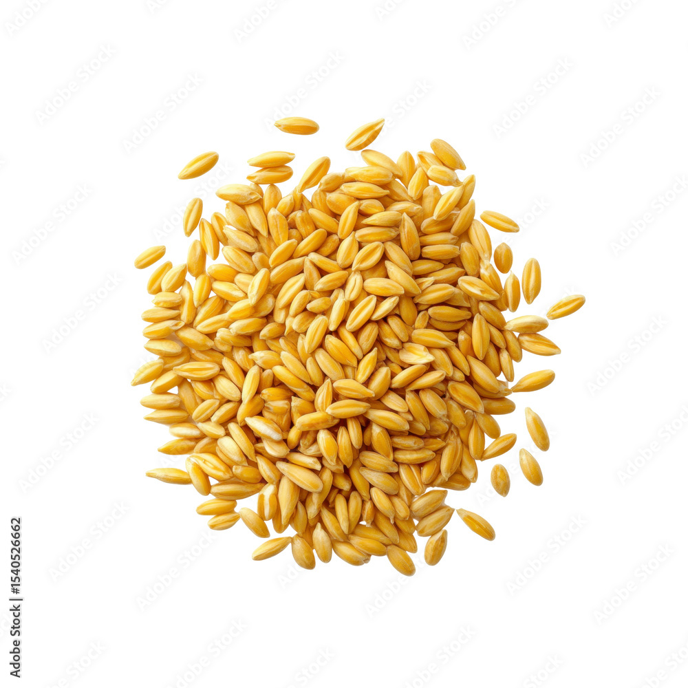 Obraz premium Heap of Golden Oat Grains Isolated on Black Background