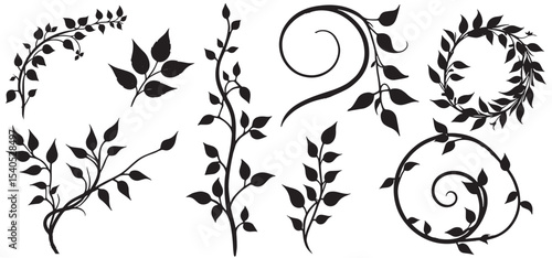vine climbing plant with  leaf set silhouette, flat vector illustration isolated on white background. black vines plant decorative vector