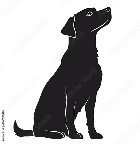 Silhouette of a black dog sitting, gazing thoughtfully upwards.