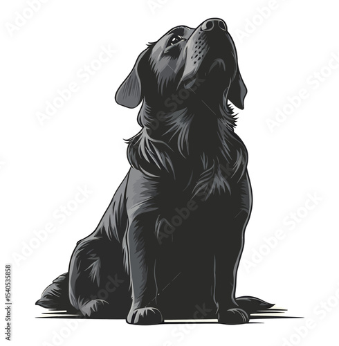 A majestic black dog poses proudly with an attentive expression.