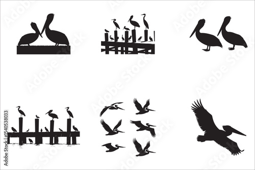 Pelican Silhouette Vector Collection – Flying and Standing Poses

Tropical Seabird Silhouettes – Pelican Vector Icons Set

Pelican Bird Silhouette Bundle – Black Wildlife Vector

Marine Bird Silhouett