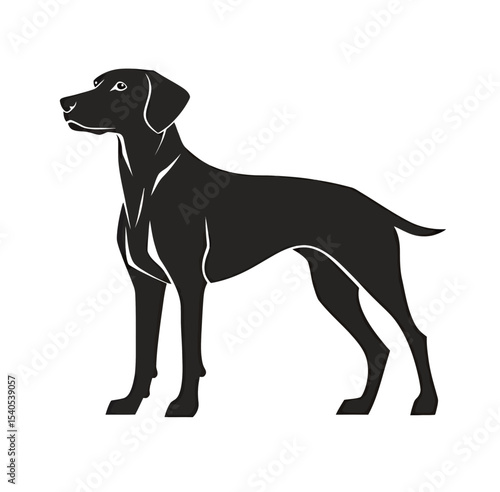 A sleek black silhouette of a standing dog, showcasing its attentive posture.