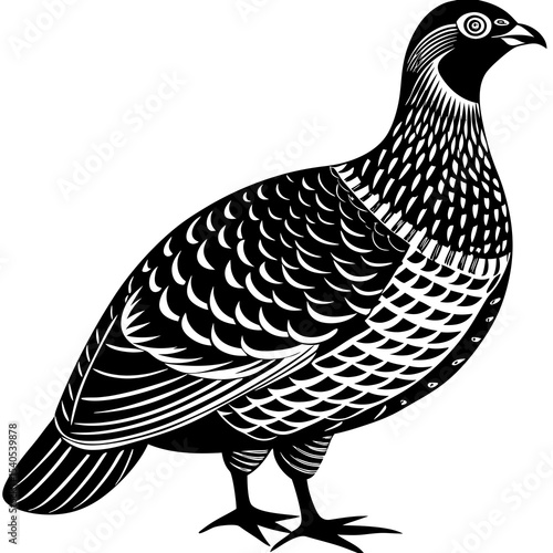 vector illustration of a bird