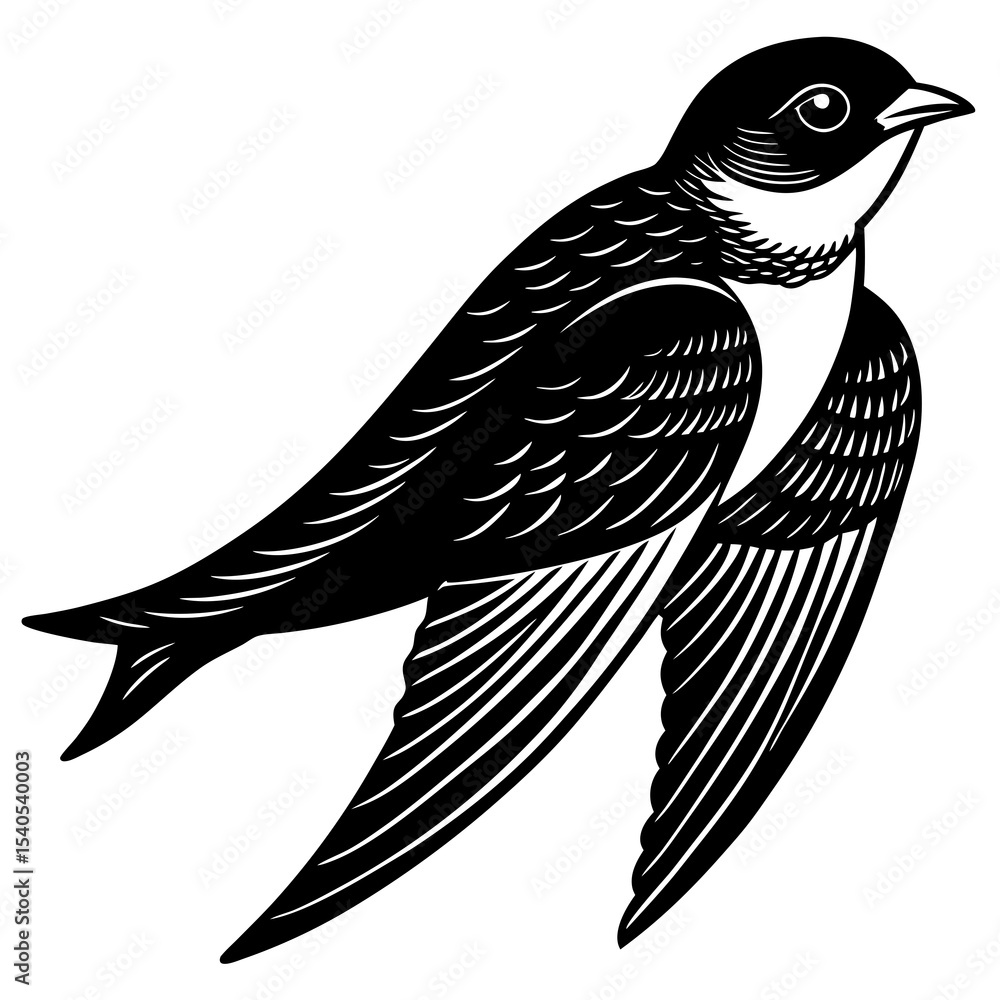 Obraz premium vector illustration of a bird