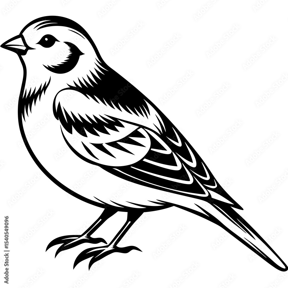 Obraz premium vector illustration of a bird