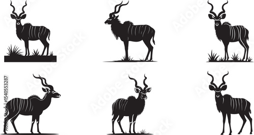 Majestic kudu antelope silhouettes African wildlife. eps-10
