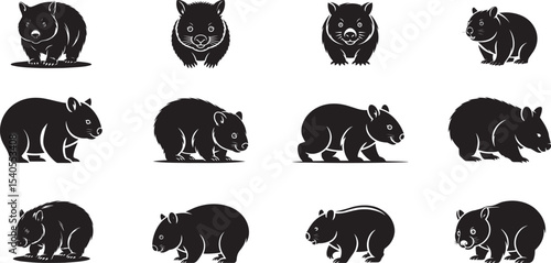 Twelve wombat silhouettes various poses black, white. eps-10