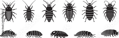 Various types of isopods black silhouettes illustration. eps-10