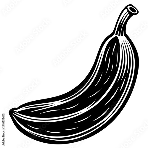 hand drawn vector illustration of a banana
