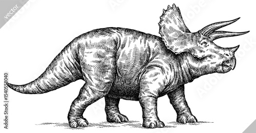 Vintage engraving isolated Triceratops set illustration reptile ink sketch. Dinosaur background silhouette Jurassic art. Black and white hand drawn vector image