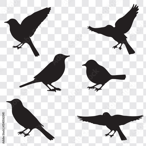 Set Of Bird Vector Bundle. black bird silhouettes. Vector logo birds in flight, bird icon, flying birds silhouette, vector bird illustration, avian symbol. flying birds with spread wings.