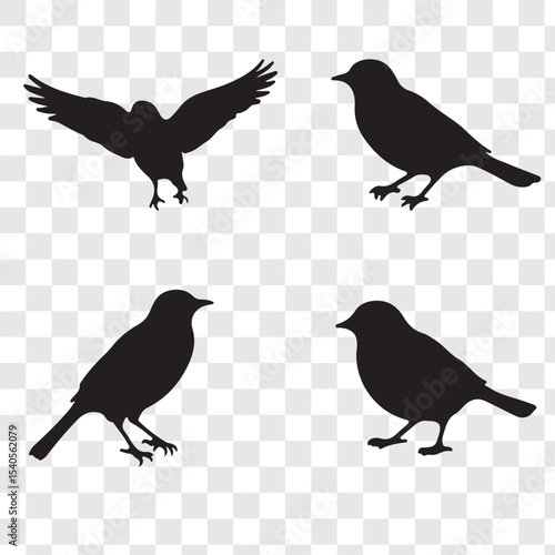 Set Of Bird Vector Bundle. black bird silhouettes. Vector logo birds in flight, bird icon, flying birds silhouette, vector bird illustration, avian symbol. flying birds with spread wings.