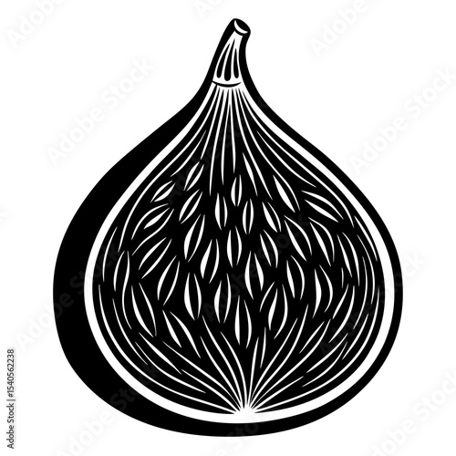 vector illustration of an onions
