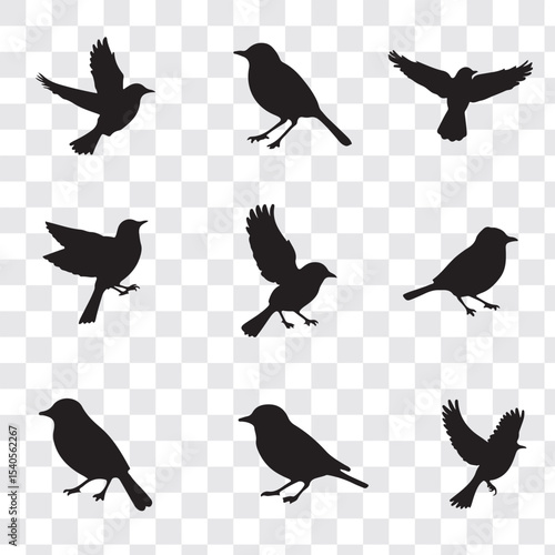 Set Of Bird Vector Bundle. black bird silhouettes. Vector logo birds in flight, bird icon, flying birds silhouette, vector bird illustration, avian symbol. flying birds with spread wings.