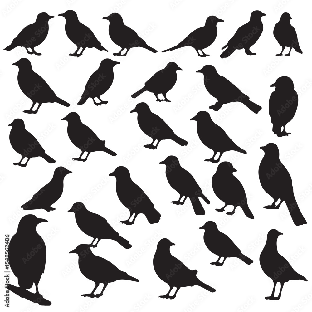 Obraz premium Set of black flying birds silhouettes. The silhouettes of birds on branches are depicted in a modern illustration featuring a starling, jay, sparrow, and titmouse sitting on a branched tree. 