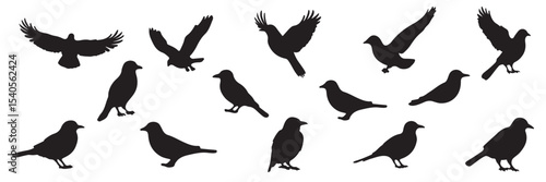 Set of black flying birds silhouettes. The silhouettes of birds on branches are depicted in a modern illustration featuring a starling, jay, sparrow, and titmouse sitting on a branched tree. 