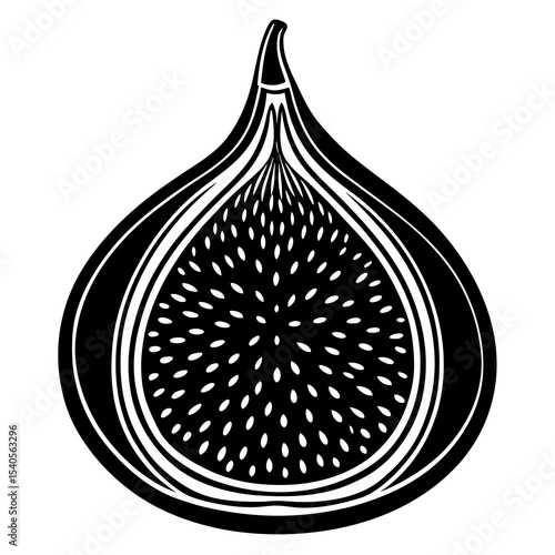 vector illustration of an orange