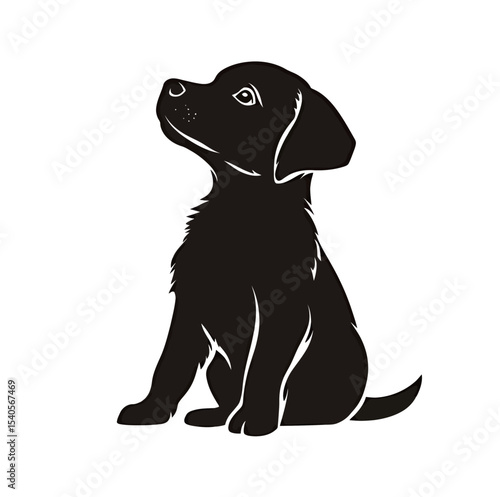 Cute black puppy sitting with an inquisitive expression.
