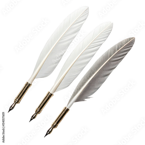 Quill pens png feather writing instrument png calligraphy dip pen png vintage script tool png historic ink pen png transparent background image