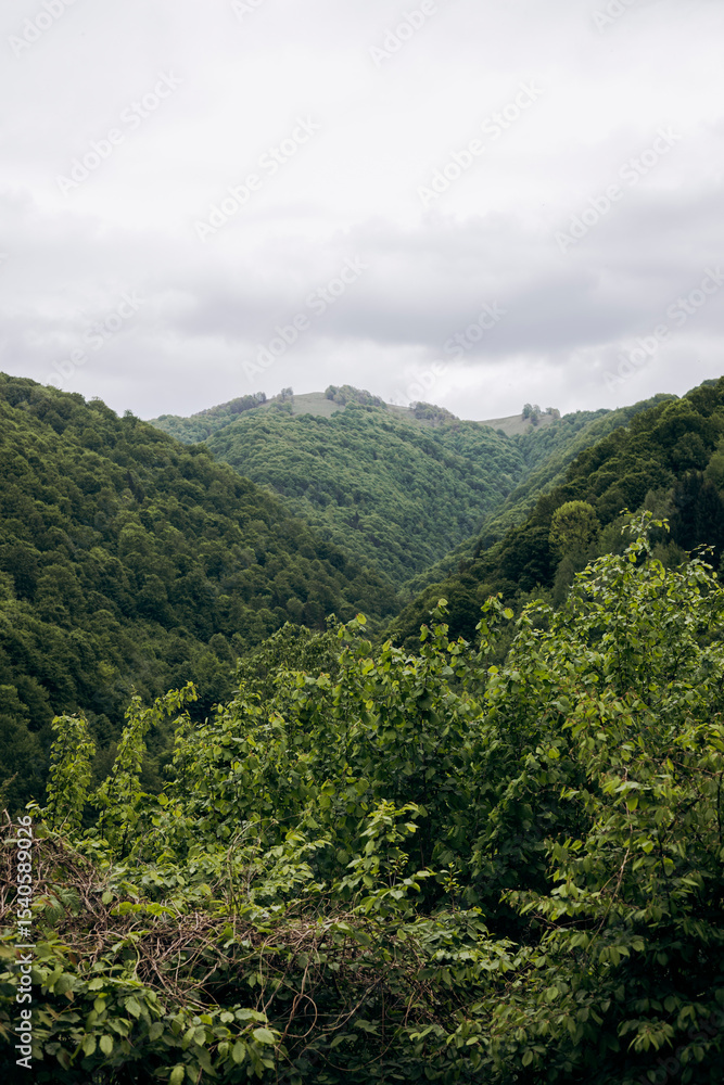 Misty mountain landscape on a rainy morning Misty mountain landscape on a rainy morning