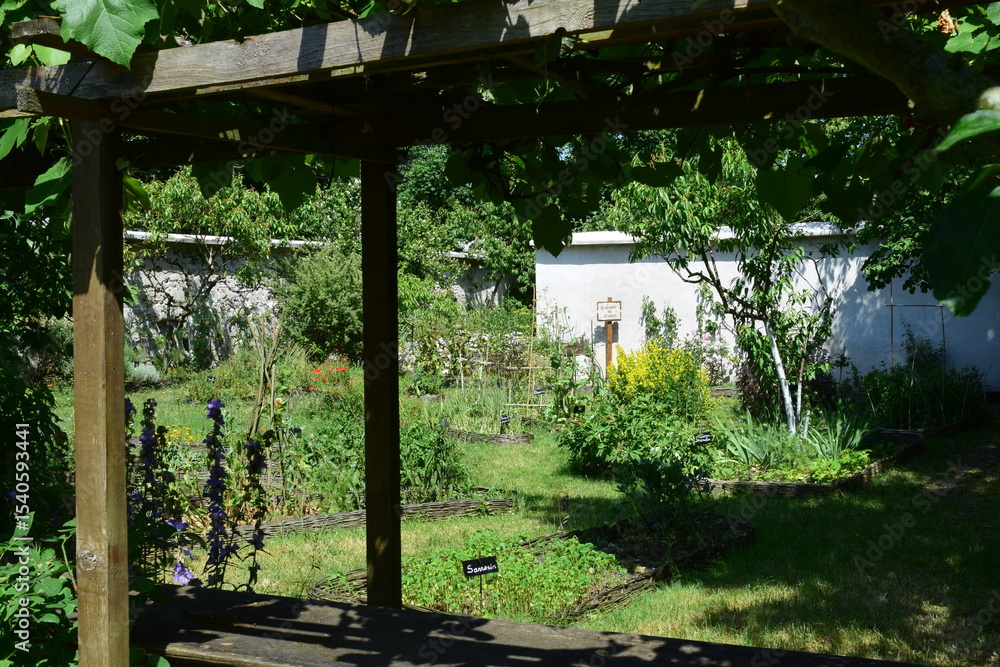 Fototapeta premium La tonnelle du jardin des plantes médicinales