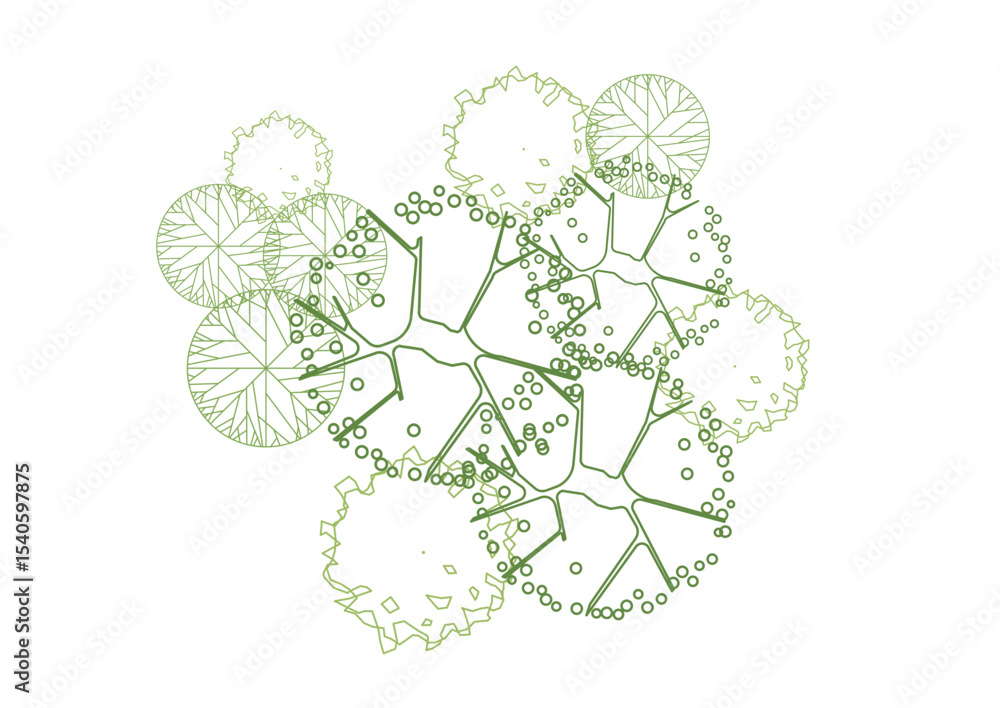 architecture drawing plant tree top view plan greenery vegetation ...