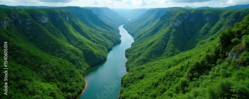 Serpentine river meanders, vibrant green rainforest surrounds, high altitude shot, tropical, jungle scenery