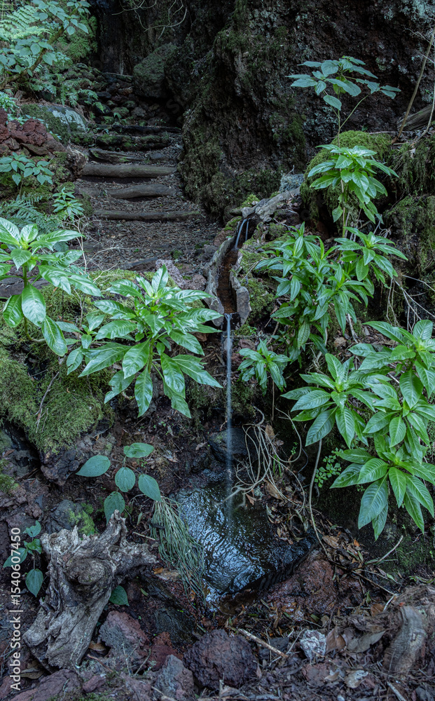 Obraz premium waterfall in the jungle
