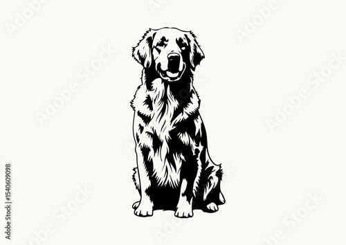Golden Retriever stencil line art black and white vector illustration isolated on white background