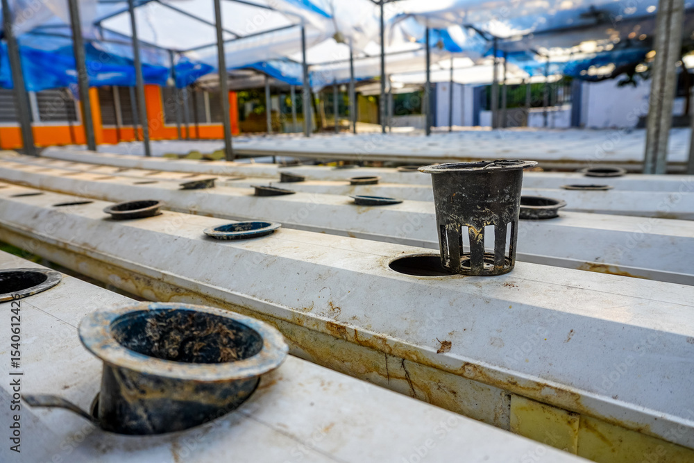 Naklejka premium Exploring Hydroponic System Rows and Net Cups for Sustainable Urban Farming