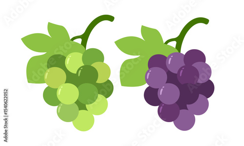 juicy Grapes Bunch of purple & green grapes with stem & leaf